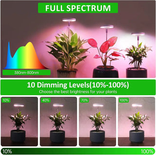 Full Spectrum LED Grow Light with Timer & Adjustable Height