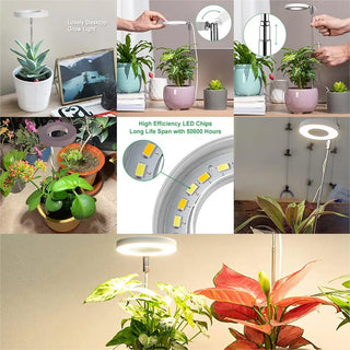 Full Spectrum LED Grow Light with Timer & Adjustable Height