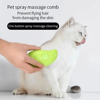 Cat Steam Brush