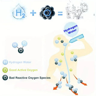 1800PPB Hydrogen Water Bottle