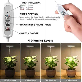 Full Spectrum LED Grow Light with Timer & Adjustable Height